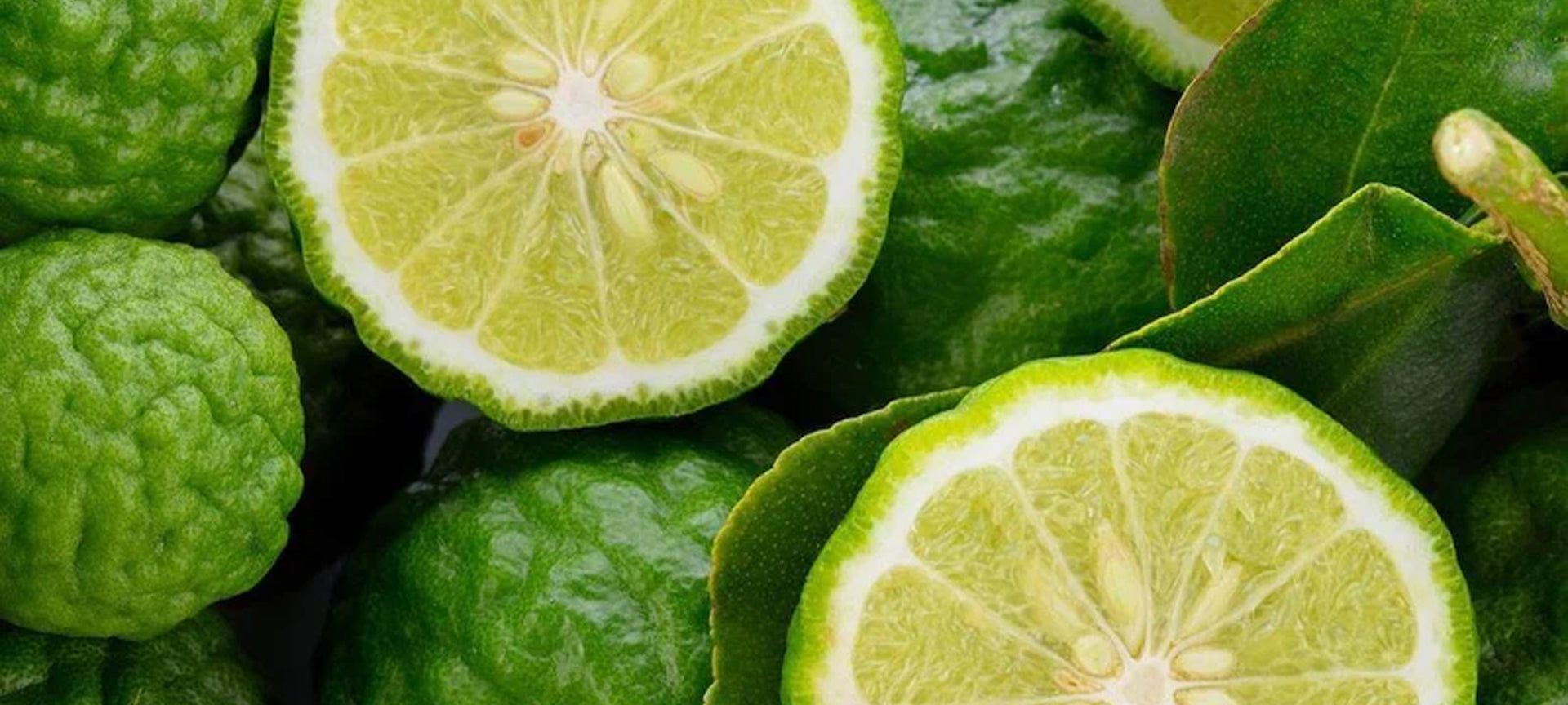 Know Your Ingredients - All About Bergamot - Secret Skin
