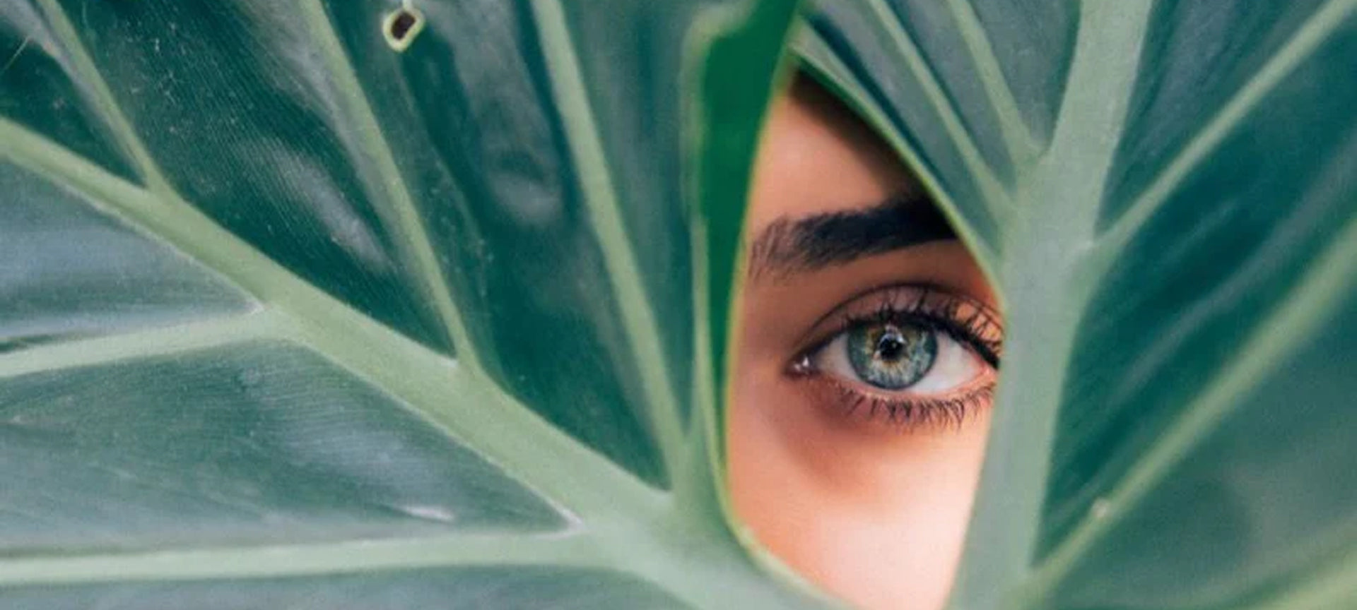 CLEANING UP YOUR BEAUTY ACT - Secret Skin