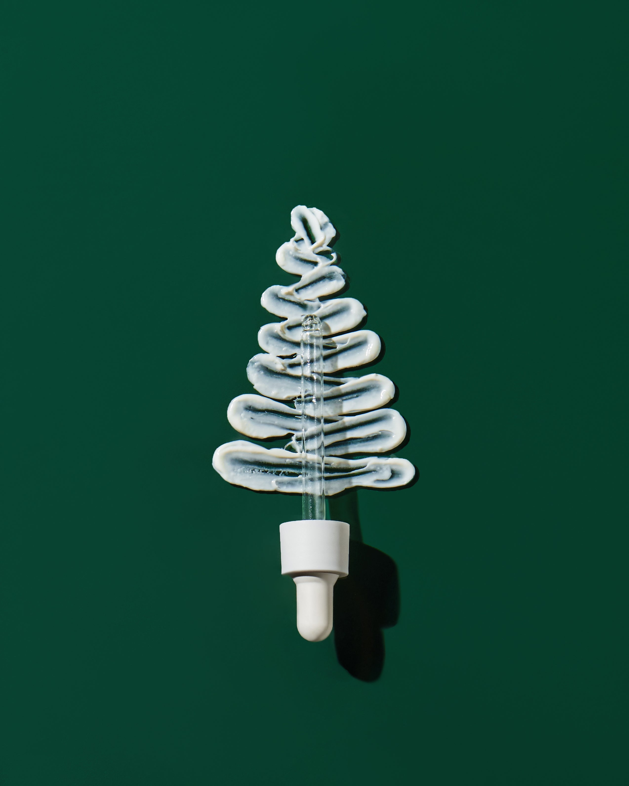 A VERY CLEAN CHRISTMAS