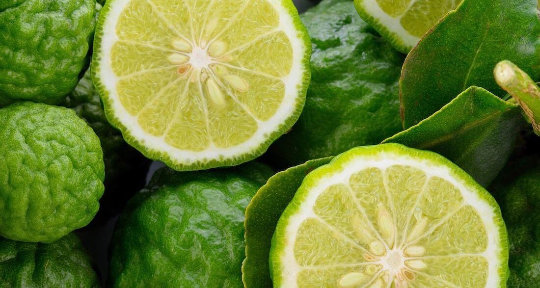 Know Your Ingredients - All About Bergamot - Secret Skin